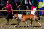 img_0291 kopie.jpg